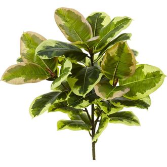 Nearly Natural 23-in Rubber Leaf Artificial Plant in Green at Nordstrom