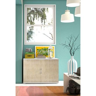 Dmora Armario Multiusos Bucaneve, Mueble Lineal De 2 Puertas Batientes Con Balda, Muebles De Entrada, Zapatero Moderno, 100% Made In Italy, Cm 90x45h66, Rob