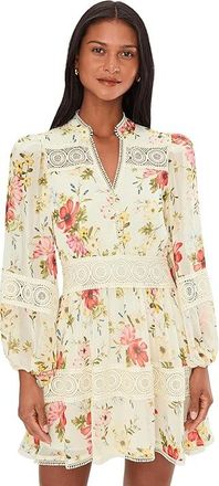 Avec Les Filles Long Sleeve Lace Detail Mini Dress Womens Dress Cream Flower Press : 14, Polyester