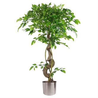 Leaf Artificial Japanese Fruticosa Ficus Tree Silver 120cm in Green