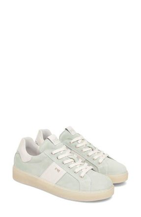 Nero Giardini Low Top Sneaker in Mint at Nordstrom, Size 10Us