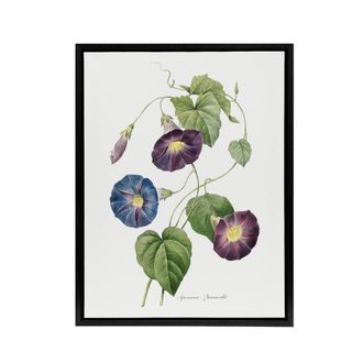 Artery8 Morning Glory Floral Redoute Vintage Black Framed Canvas Wall Art in White | Size: W24 x H32