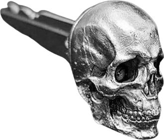 Generic Demon Skull Key Cover, Metal Skull Head Keychain, Gothic Skulls Key Covers, Decorative Accessories for Motorcycle and Door Keys, Ideal for Gothic Enth