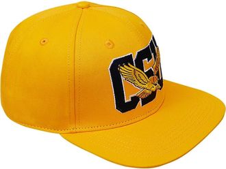 Pro Standard Mens Pro Standard Gold Coppin State Eagles Evergreen CSU Snapback Hat in Yellow at Nordstrom