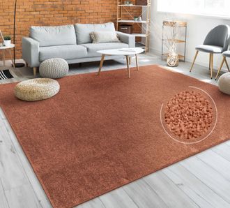 Paco Home Paco Home - Alfombra Sal&oacute;n Color Liso Discreta Moderna Pelo Corto Varios Colores Y Tama&ntilde;os &Oslash; 120 Cm Redon, Cobre