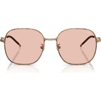 Diesel 55mm Square Sunglasses in Paper Transparent Bronze/Rose at Nordstrom