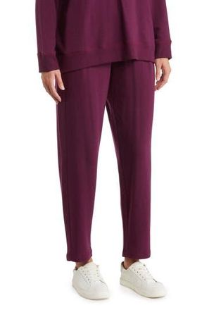 Eileen Fisher Slouch Fleece Ankle Pants in Swtpl at Nordstrom Rack, Size Xx-Small
