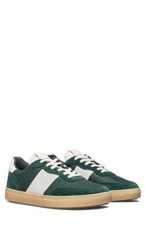 Clae Davis Sneaker in Pine Needle Off White at Nordstrom, Size 10.5