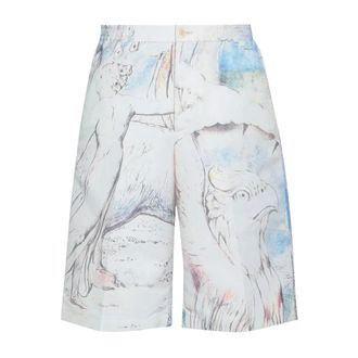 Alexander McQueen Korte Broeken, Heren, Veelkleurig, L, Polyester, William Blake Dante Shorts