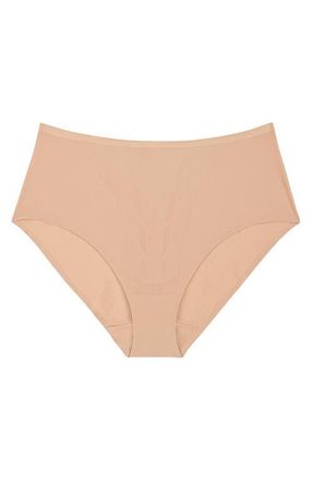 Triumph Shape Smart Shaping Panties in Neutral Beige at Nordstrom, Size X-Large