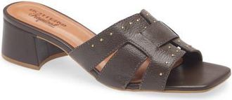 Bottero Catia Slide Sandal in Marrom at Nordstrom, Size 11