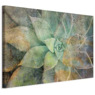 OEM Pintura - Tonos De Florecimiento (1 Parte) Ancha