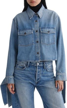 A Gold E Hewitt Cropped Long Sleeve Shirt in Index Md Tinted Ind at Nordstrom, Size X-Large