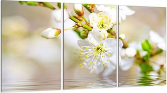 OEM Placa Protectora De Vidrio Para Estufa 3x30x52