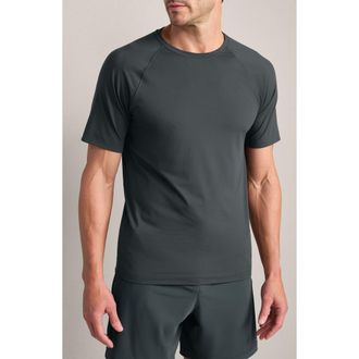 Rhone Reign Performance T-Shirt in Pine Gray at Nordstrom, Size Medium