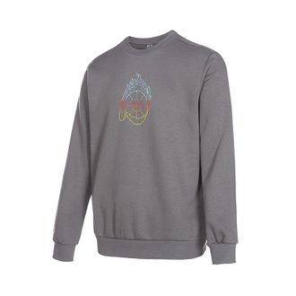 adidas Graphic Sweater Grey IA6672
