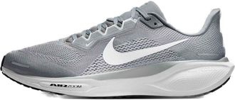 Nike Air Zoom Pegasus 41 Cool Grey FD2722-009