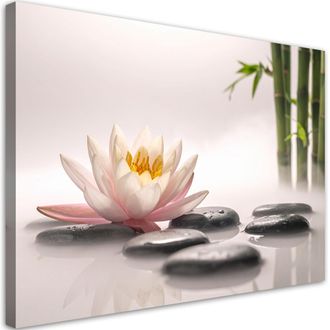 Feeby Impresi&oacute;n De Imagen, Flor De Loto Piedras Plantas Zen Spa, 100x70