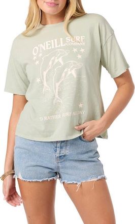 O'Neill Twinning Cotton Graphic T-Shirt in Desert Sage at Nordstrom, Size Xx-Large