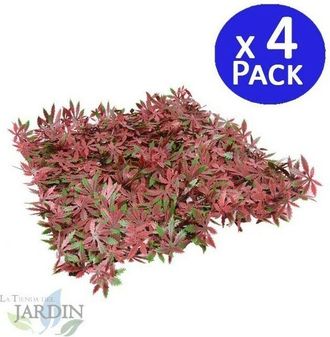 No Brand No Brand - Pack 4 Jardin Vertical Arce 50x50 Cm Planta Artificial Decoraci&oacute;n Pared Interior Exterior Jardines Verticales