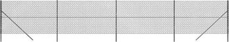 vidaXL Cerca De Alambre Gris Antracita 2x10 M Vidaxl