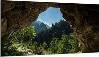 OEM Protector De Cristal Para Encimera De Cocina 90x52 &Aacute;rboles