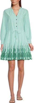 Lands End Long Sleeve Eyelet Mini Popover Dress in Vibrant Clover Stripe Eyelet at Nordstrom, Size X-Small P