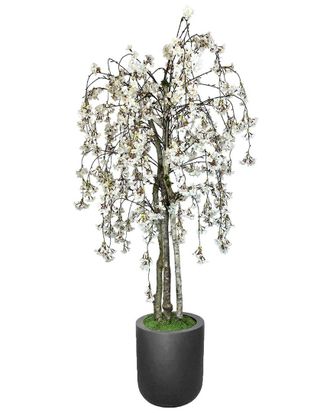 Creative Displays Inc. 5Ft White Cherry Blossom Tree In Round Fiberstone Planter