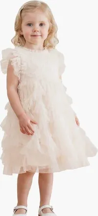 Needle & Thread Genevieve Embroidered Ruffle Baby DressBaby in Cream at Nordstrom, Size 18-24M