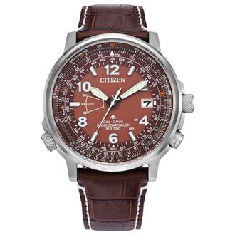 Citizen Mens Eco Skjy Brown Dial Watch