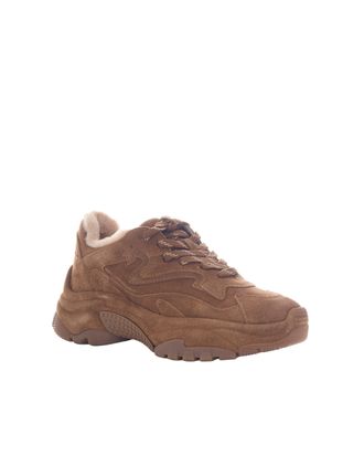 Ash Addict Bis Sneaker - Brown