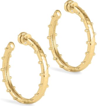 Anabel Aram Medium Milos Hoop Earrings in Gold at Nordstrom