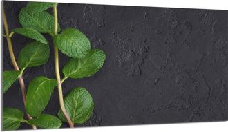 OEM Protector De Cristal Para Encimera 90x52 Menta