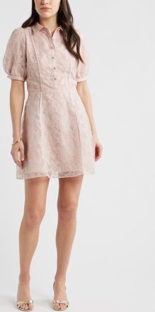 Chelsea28 Floral Embroidered Puff Sleeve Minidress in Pink Sepia at Nordstrom, Size Xx-Small