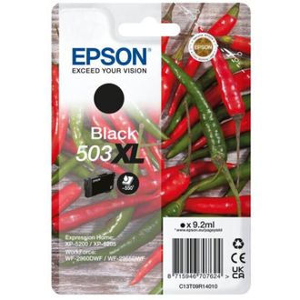 Epson Singlepack Black 503xl Ink