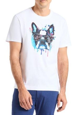 Robert Graham Jetset Frenchie Graphic T-Shirt in White at Nordstrom Rack, Size Xx-Large