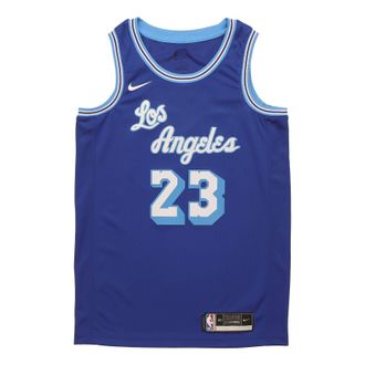 Nike NBA LeBron James Los Angeles Lakers 2020/21 Fan Edition Jersey 23 CN1027-404