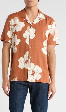 Ted Baker Floral Short Sleeve Button-Up Shirt in Mocha Bisque at Nordstrom Rack, Size 6(Xxl)