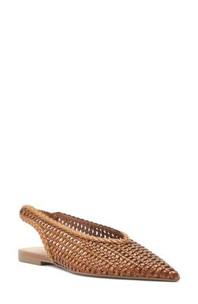 Arezzo Eva Slingback Pointed Toe Flat in Soul Natural at Nordstrom, Size 5.5
