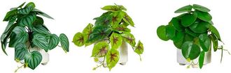 Nearly Natural Set Of 3 8In Artificial Mixed Greens In Ceramic Planter