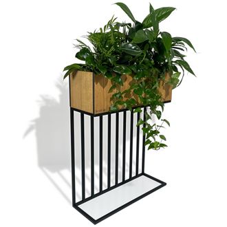 OEM Soporte Para Plantas Harmonic Oak Para Altillo, 62 X 22 X 80 Cm