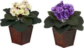 Nearly Natural African Violet with Vase Artificial Plant in Purple/cream/pink at Nordstrom