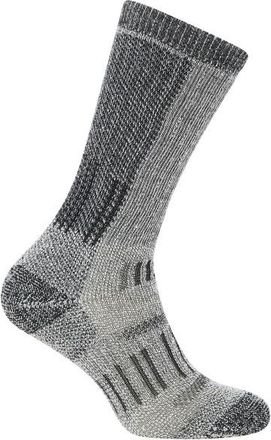 Icebreaker Merino Hike+ Mountaineer Mid Calf Wandersocken für Herren | grau