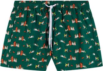 Sundek Badmode, Heren, Groen, S, Bosco Boardshorts voor Heren