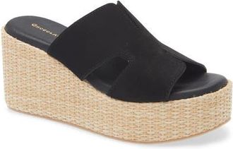 Chocolat Blu Jamie Platform Wedge Sandal in Black Suede at Nordstrom, Size 8-8.5Us