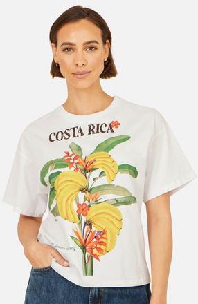 Yumi Costa Rica Cotton T Shirt in White at Nordstrom, Size Medium