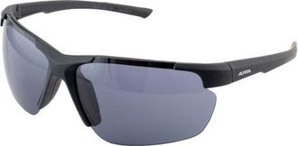 Alpina Defey HR S3 Sonnenbrille - Unisex | grau