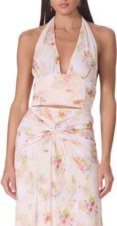AFRM Gabriella Floral Plunge Halter Top in Summer Blur Ditsy at Nordstrom, Size X-Small