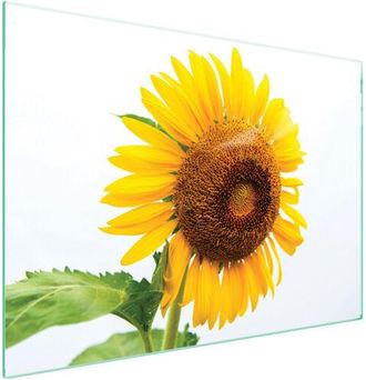 OEM Placa Protectora De Vidrio Para Estufa 70x52 Flor