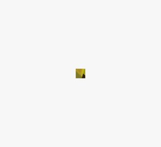 Kate Spade New York Secret Garden Turtle Ring